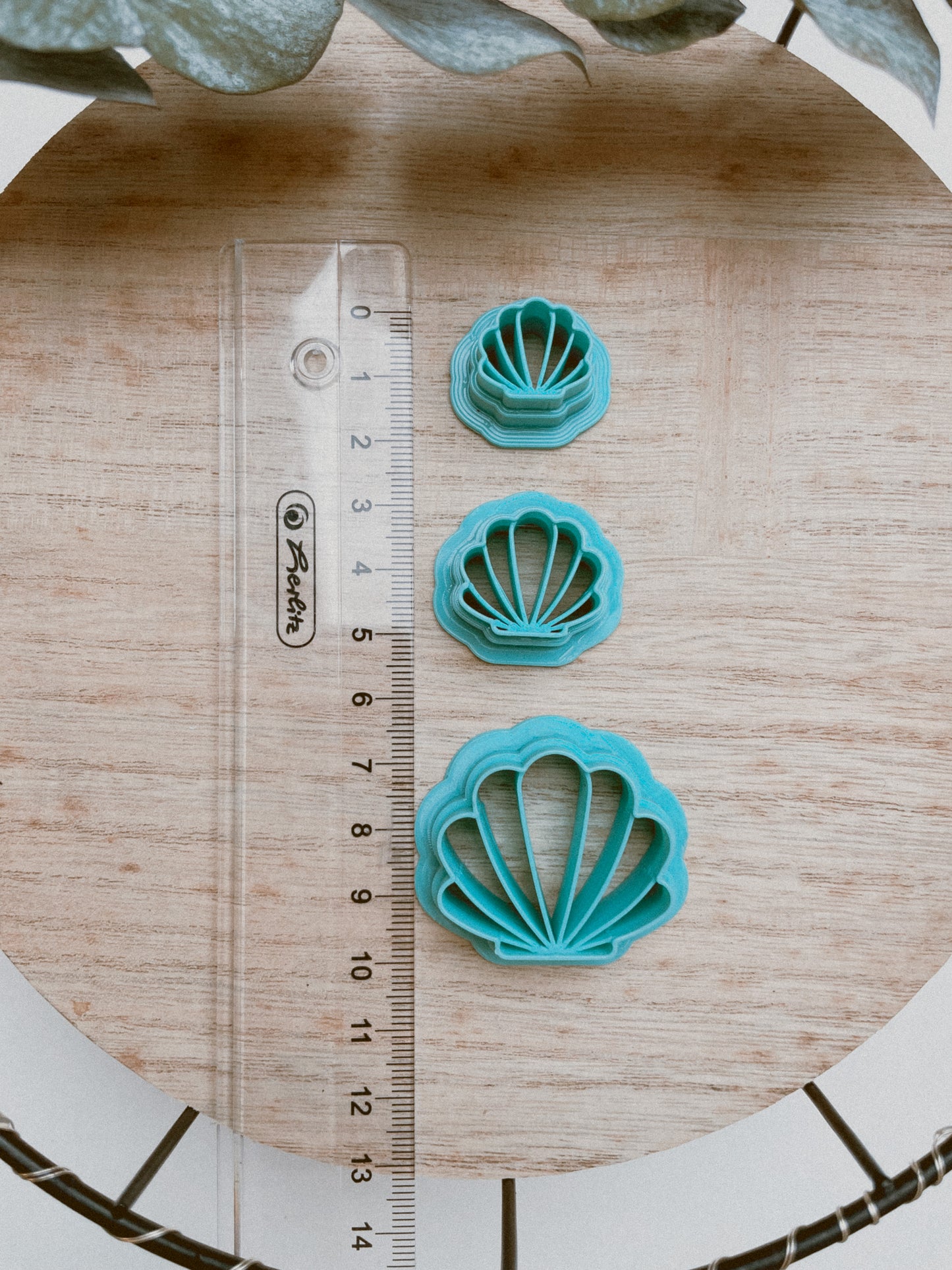 Clay Cutter Shell Cookie Cutter