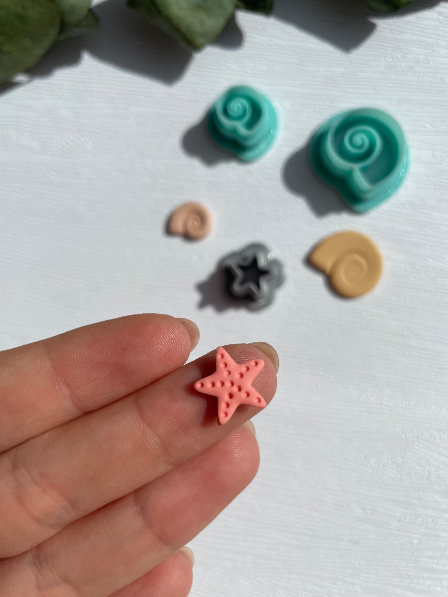 Clay Cutter kleine Muscheln