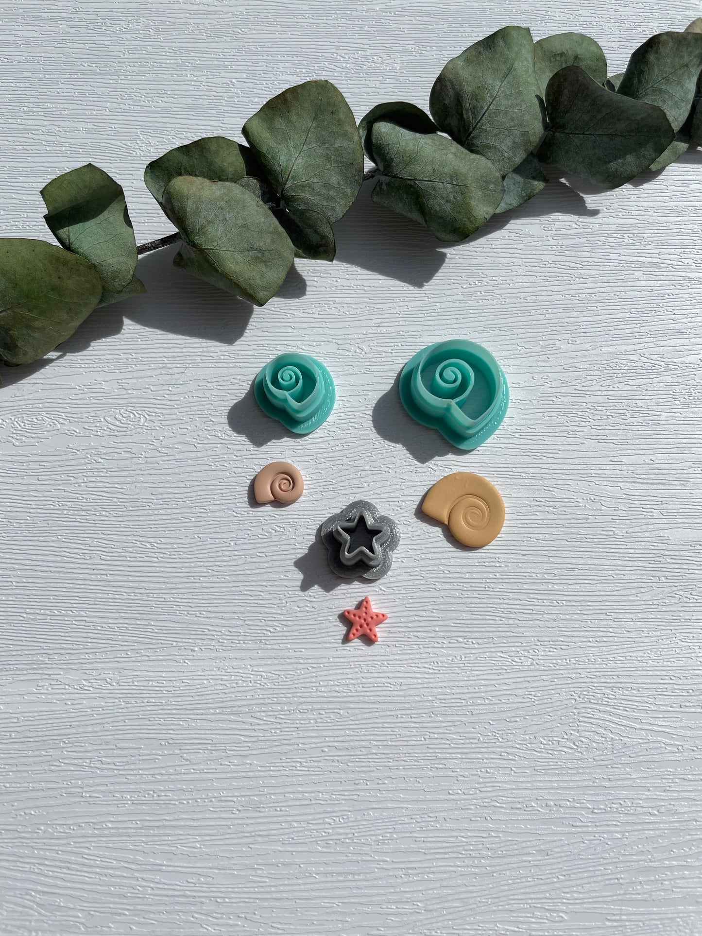 Clay Cutter kleine Muscheln