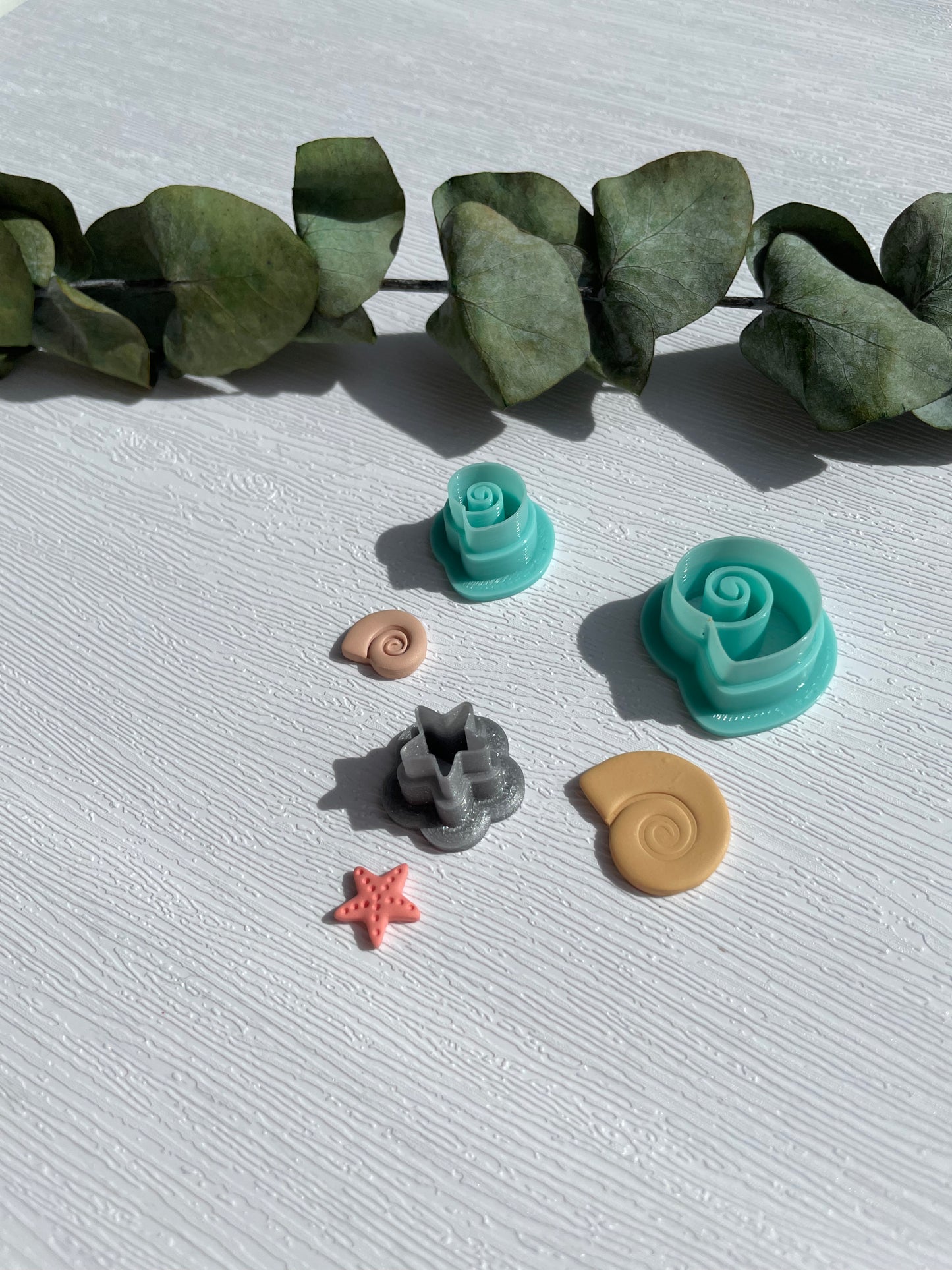 Clay Cutter kleine Muscheln