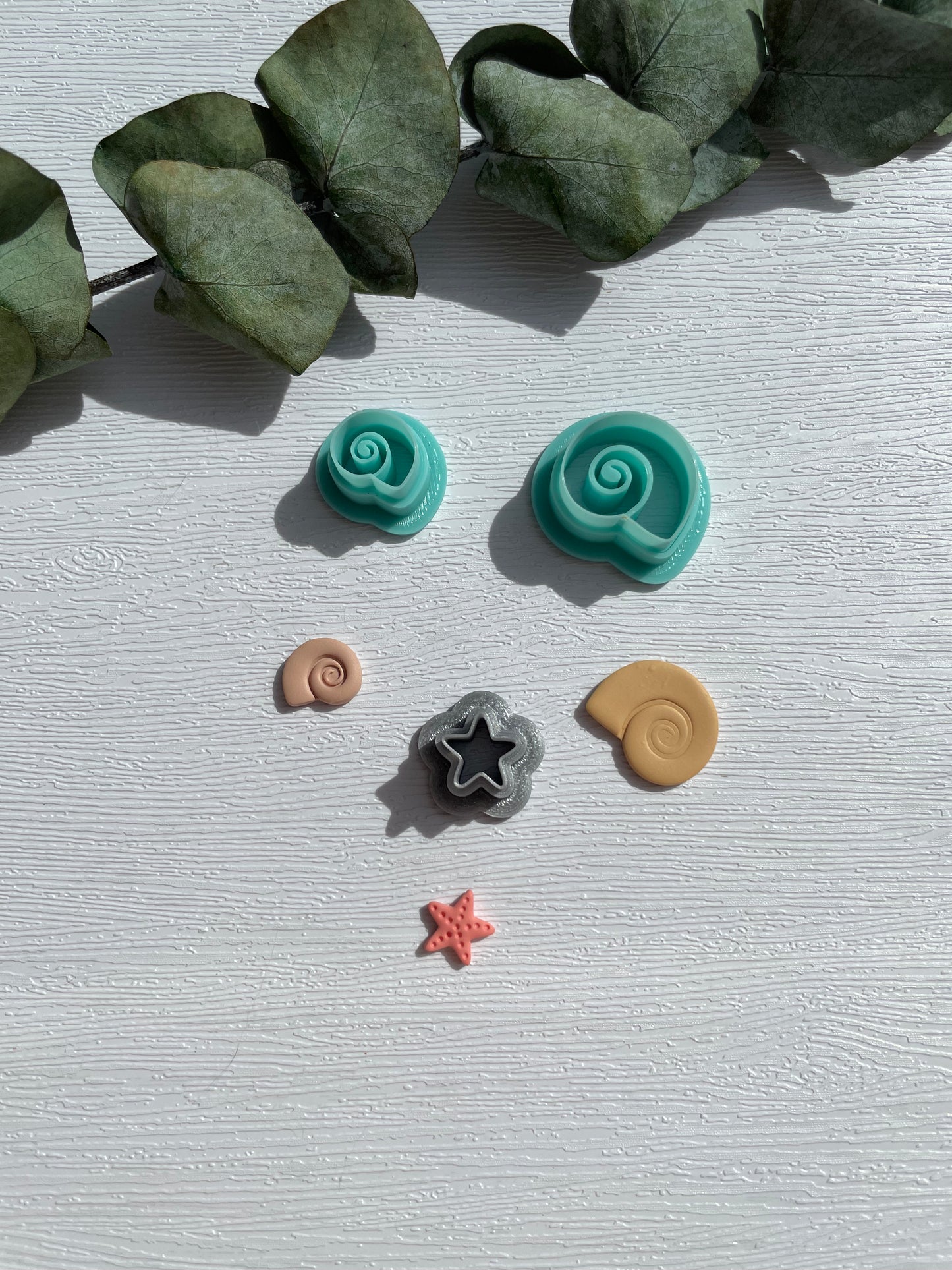 Clay Cutter kleine Muscheln
