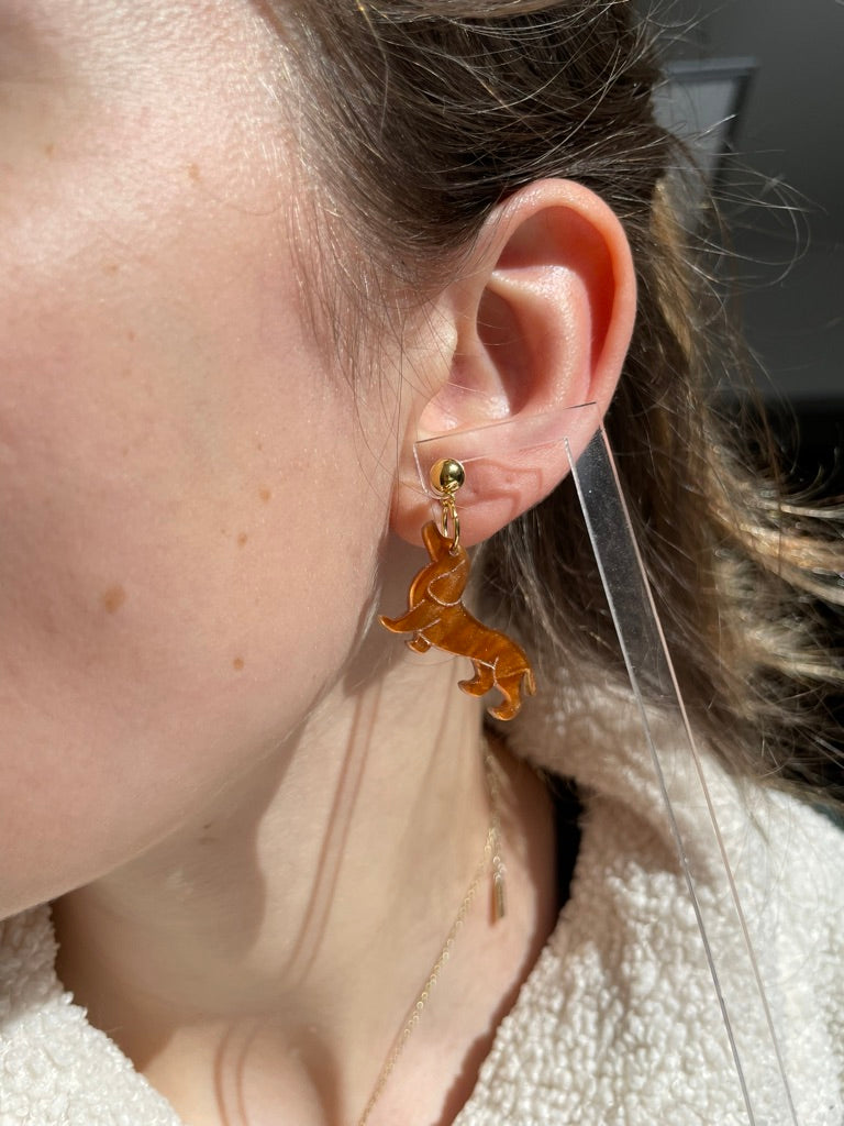Acryl Earrings | Dackelohrringe