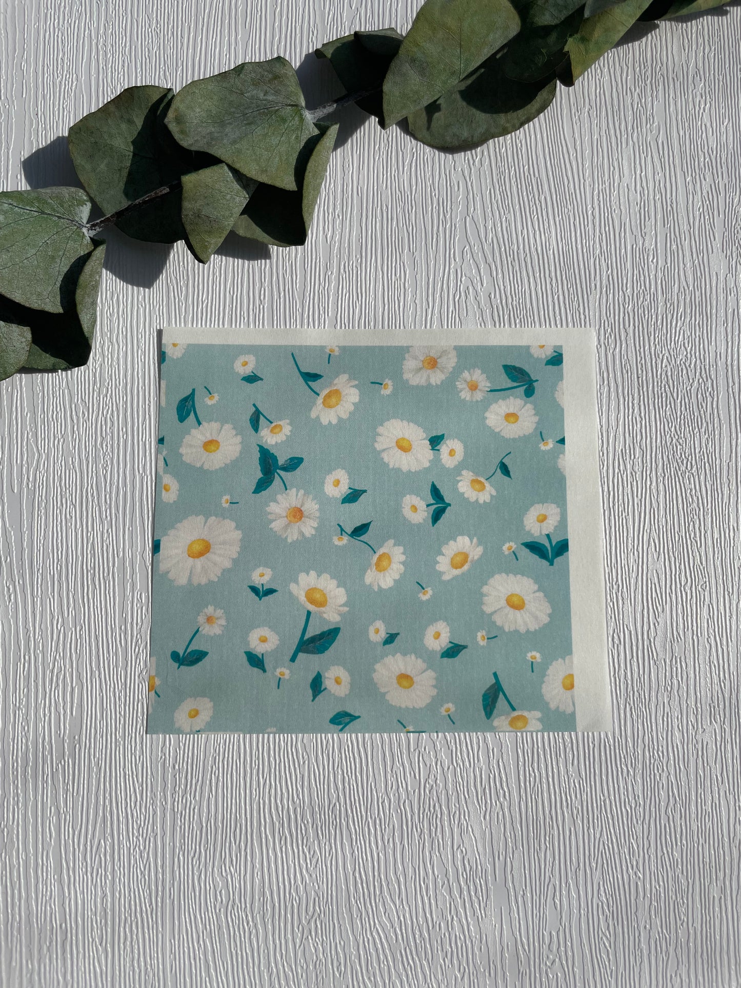 Gänseblümchen Transferpapier